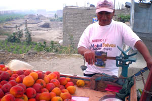 Продавец манго